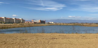 Parco della Pace, prosegue la piantumazione dei nuovi alberi