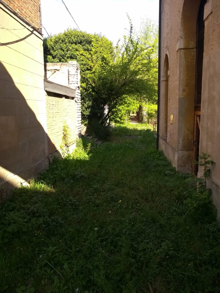 L'accesso all'Arlecchino sul Giardino Salvi invaso da erbacce e piante