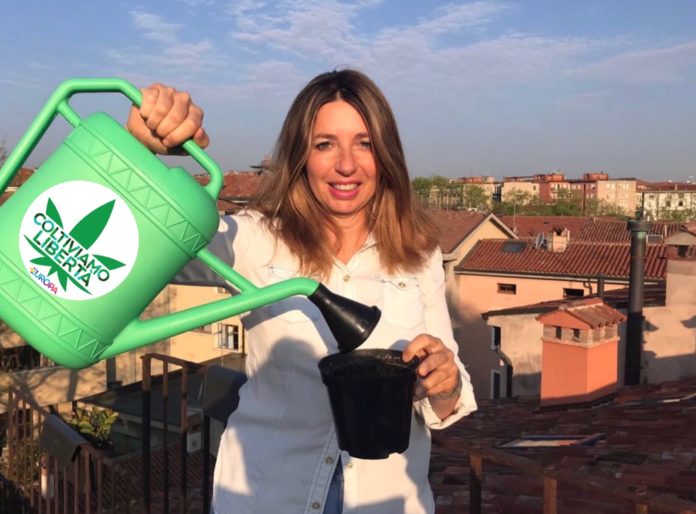 cannabis legale Annalisa Nalin portavoce +Europa Veneto