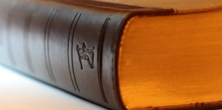 Modifiche al regolamento consiliare, approvati 10 emendamenti minoranza: ecco cosa cambia