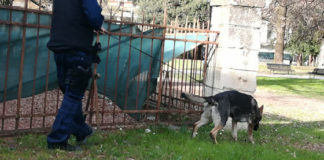 Lotta allo spaccio e al degrado di sostanze stupefacenti a Campo Marzo e San Pio X