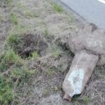 Zona Stadio-Casale, Asproso: “avvilente situazione dell’area verde”