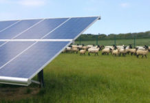 Rosà: il Comune dice no all’impianto fotovoltaico da 73 ettari nel Parco Rurale delle Rogge Fotovoltaico su terreni agricoli Rosà impianto fotovoltaico