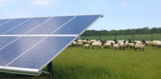 Fotovoltaico, Rizzotto e Bet (Lega-LV): “dalla trasmissione Striscia la Notizia serie incredibile di inesattezze. Per affrontare questi argomenti non basta la passione, serve la competenza tecnica e giuridica” Fotovoltaico su terreni agricoli Rosà impianto fotovoltaico