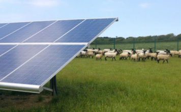 Rosà, il Comune ribadisce la “ferma contrarietà” al maxi impianto agrivoltaico “Rosa AFV” Fotovoltaico su terreni agricoli Rosà impianto fotovoltaico agrivoltaico