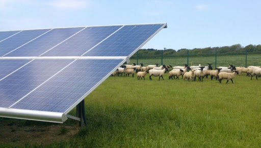 Fotovoltaico su terreni agricoli