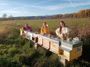 Legambiente Vicenza 7 mila fiori per le Maddalene