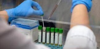 Mers, 9 casi con due morti in Arabia Saudita. Oms: “Rischio moderato”