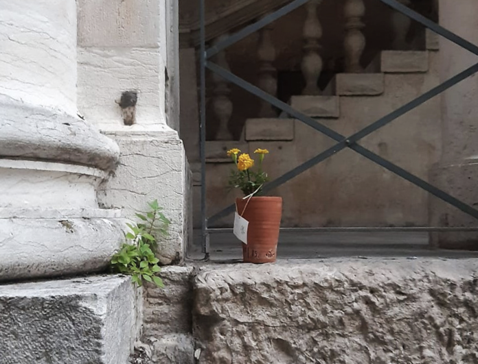 Uno dei 198 vasi fioriti del Gruppo Habytat in piazza dei Signori a Vicenza