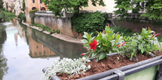Infrastrutture, al via l’allestimento floreale di dieci ponti e tre balaustre cittadine