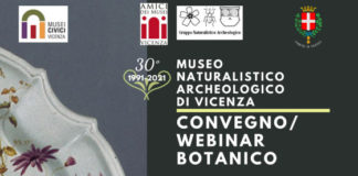 Museo Naturalistico Archeologico di Vicenza, giovedì 20 online la seconda parte del convegno botanico