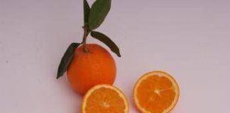 Arance e vitamina C, Bassetti boccia la spremuta: “Meglio mangiarle a spicchi”