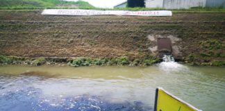 Aziende vicentine inquinano il canale Gorzone: segnalazione in Procura di Cristina Guarda (EV) Legambiente Veneto sul Fratta Gorzone aziende vicentine