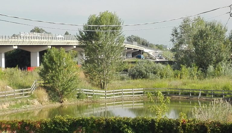 Lo stagno nell'area ex Barcaro Zaccaria. Sullo sfondo il viadotto di via Aldo Moro