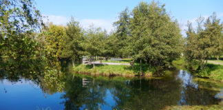 Risorgive del Bacchiglione, open-day il 10 settembre: in programma visite gratuite e la premiazione del 5° concorso “Enore Marini” Risorgive del Bacchiglione (Vicenza)