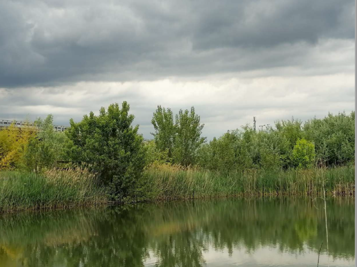 area verde Vicenza Est ex Barcaro Zaccaria