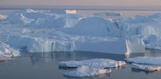 “Il costo della transizione ecologica”. I nemici sono i gas serra, quelli prodotti dall’uomo Effetto serra e surriscaldamento globale