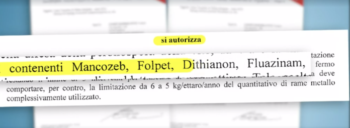 puntata 21 giugno Report pesticidi prosecco puntata 21 giugno Report pesticidi prosecco