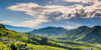 Pandemia e turismo, in Veneto +48,3% rispetto al 2020 ma le agenzie di viaggio sono in crisi Valdobbiadene, turismo esperenziale