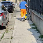 “Erba selvaggia”, interpellanza di Colombara (Quartieri al centro): “mandiamo i ragazzi a estirpare erbacce dai monumenti” Vicenza Infestanti erba