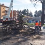 Alberi tagliati in via Carpioni, Selmo e Pupillo (Da adesso in poi): “Rucco non si confronta mai con cittadinanza” alberi tagliati in via Carpioni