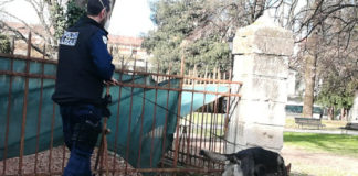 Polizia locale di Vicenza: sei giovani sanzionati per consumo di alcol al di fuori dei plateatici