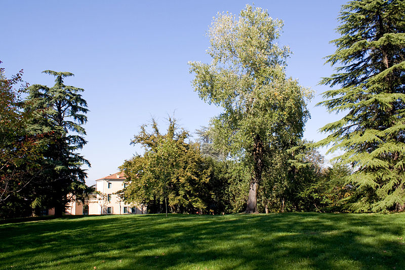 Uno scorcio del bosco nel parco di Villa Guiccioli