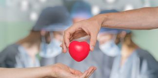 Donazione organi: Verona, Padova e Belluno spiccano in Italia Donazione di organi e tessuti ulss 8 berica