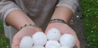 Grandine e tempeste, Guarda (EV): “Oggi sono eccezionali, domani la normalità. Siamo impreparati” grandine nel Bassanese