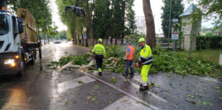 Maltempo, a Vicenza 70 piante abbattute dal forte vento che ha raggiunto anche i 120 chilometri orari Alberi abbattuti dal vento in via Rodolfi (Vicenza)