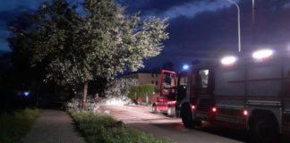 Ore 22.15 – Maltempo a Vicenza: riaperti viale Giuriolo e via Rodolfi, chiusa strada Maddalene Alberi abbattuti dal vento a Maddalene (Vicenza)
