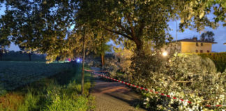 Ore 22.30 – Maltempo a Vicenza: riaperta via Rodolfi e ancora chiusa temporaneamente viale Giuriolo Alberi abbattuti dal vento a Maddalene (Vicenza)