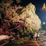 Maltempo in Veneto, assessore Caner attiva tecnici Avepa per verificare danni colture maltempo Veneto Vicenza Verona vigili