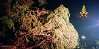 Maltempo, task force operativa messa in campo da Etra maltempo Veneto Vicenza Verona vigili