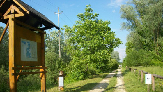 oasi casale e bosco del quarelo