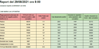 Covid in Veneto e per provincia al 29 agosto: 513 contagi (-40,6%), 381 guariti, 2 decessi. Il 77% degli over 12 vaccinato con almeno una dose CASI Covid SARS-CoV-2 POSITIVI in Veneto al 29 agosto alle 8
