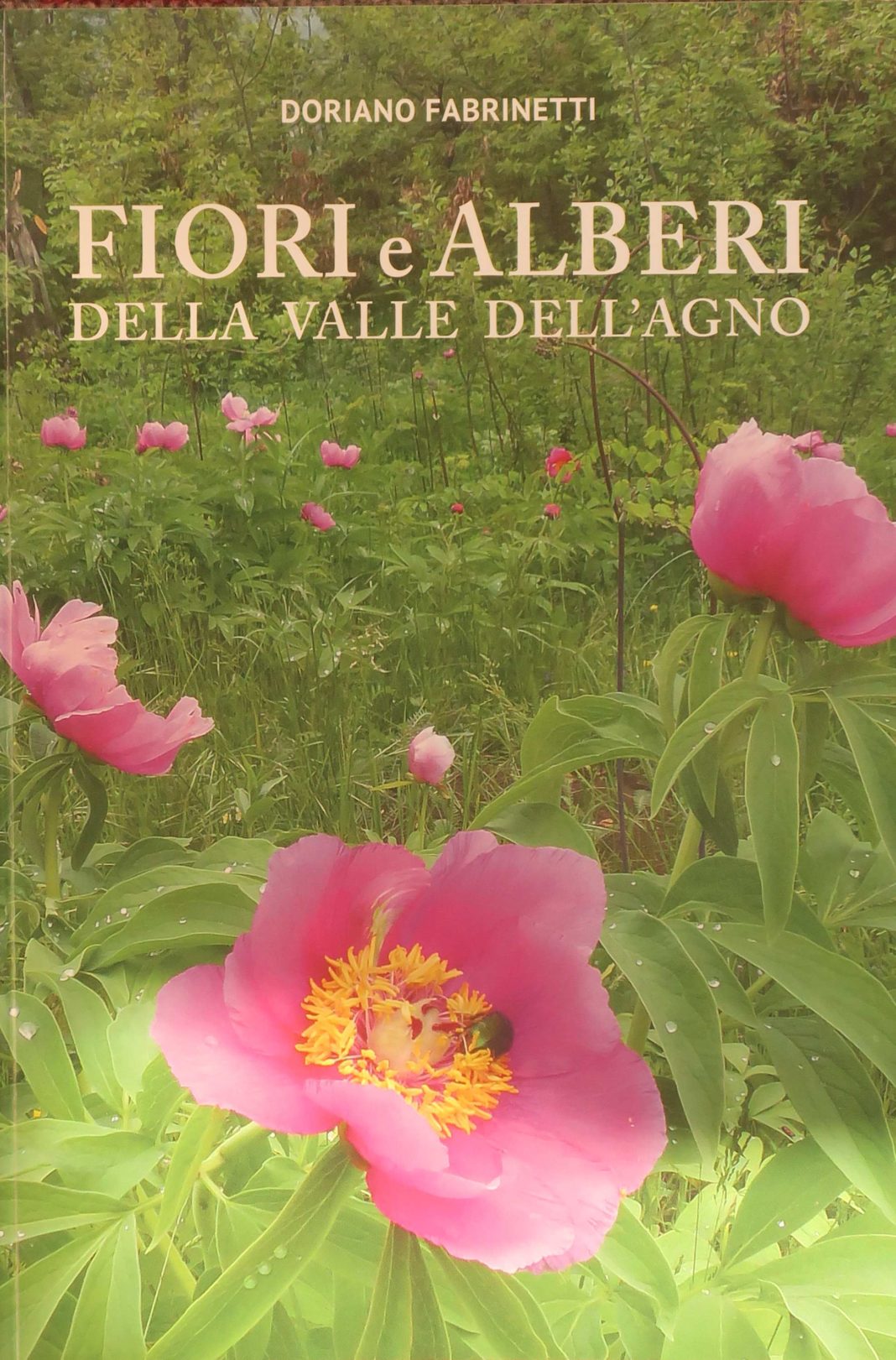 “Fiori e alberi della valle dell’Agno