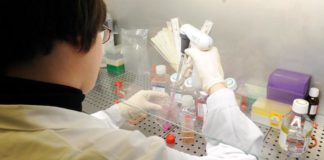 Ricerca e aggregazioni d’impresa, ass. Roberto Marcato: Giunta Regione Veneto stanzia 10 milioni di euro a fondo perduto Laboratorio di ricerca