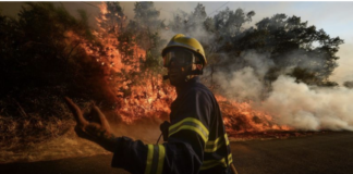 Flai Cgil Veneto: siccità e incendi nella nostra Regione, una catastrofe ambientale contro cui bisogna reagire Lotta agli incendi