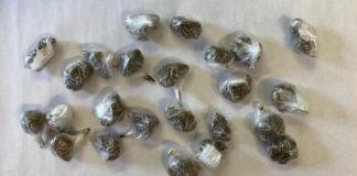 Due operazioni antidroga in via De Amicis e in via Faccio: polizia locale Vicenza denuncia spacciatore, ne cerca un altro e sequestra cocaina