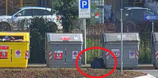 Abbandonano i rifiuti in viale Torino, a Vicenza sanzionati in cinque