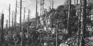 “La montagna veneta, teatro di distruzione e ricostruzione”. Dalla Grande Guerra al Vaia