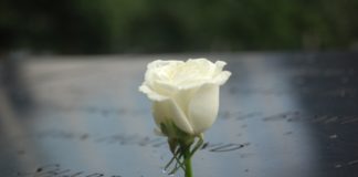 Il presidente della regione del Veneto Luca Zaia ricorda l’11 settembre: “Dopo quel giorno, nulla sarebbe stato come prima” 11 settembre 2001