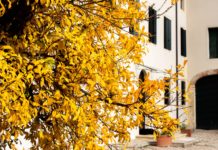 Dimore Amiche presentano Foliage, magiche atmosfere d’autunno, prossimo appuntamento il 24 settembre a Villa e Borgo Feriani (Vicenza)