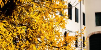 Dimore Amiche presentano Foliage, magiche atmosfere d’autunno, prossimo appuntamento il 24 settembre a Villa e Borgo Feriani (Vicenza)