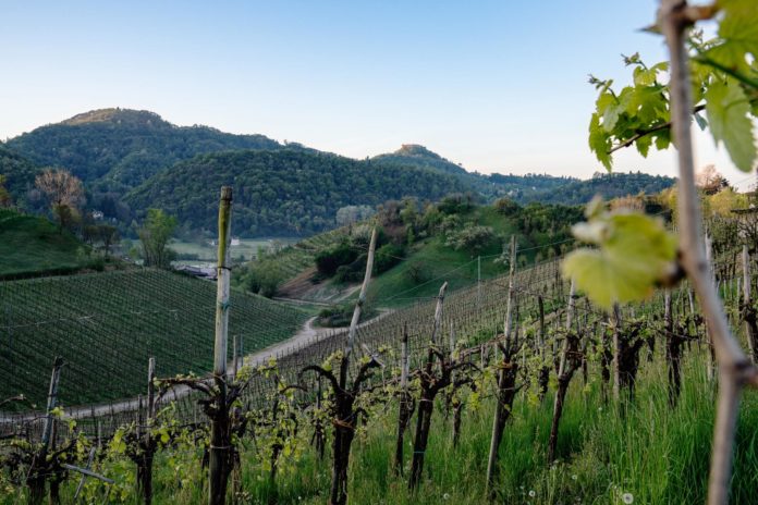 Le colline Unesco del prosecco