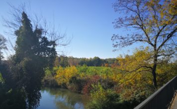 Vicenza: al via la consultazione pubblica per il progetto sull’Astichello Astichello vicenza