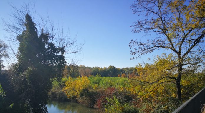 Vicenza: al via la consultazione pubblica per il progetto sull’Astichello Astichello vicenza