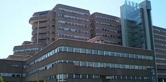 7 nascite in 12 ore, super lavoro nelle sale parto: la denatalità non abita non abita al San Bassiano Ospedale San Bassiano interrogazione carenza personale chirurgia vascolare Bassano 7 nati in 12 ore