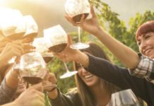 Vino, Lega: euro-caos su etichettatura, chiesto intervento urgente ministro Lollobrigida. Mara Bizzotto prima firmataria Vino e brindisi